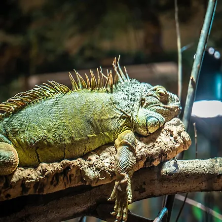 Διαμέρισμα Im Freizeitpark Weissenhaeuser Weissenhäuser Strand