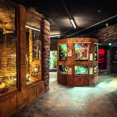 Διαμέρισμα Im Freizeitpark Weissenhaeuser *