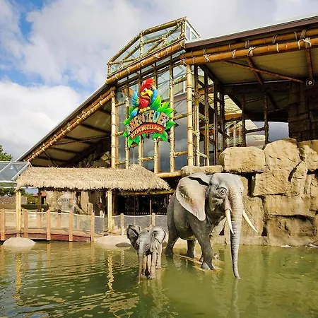 Im Freizeitpark Weissenhaeuser 公寓 *
