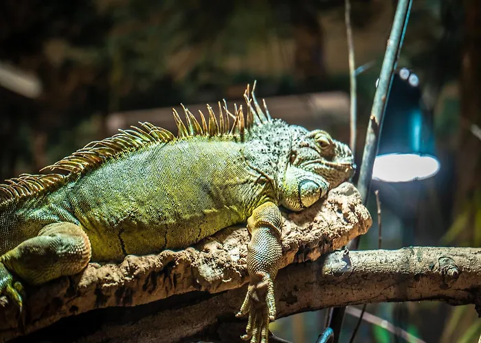 Appartement Im Freizeitpark Weissenhaeuser Weissenhäuser Strand