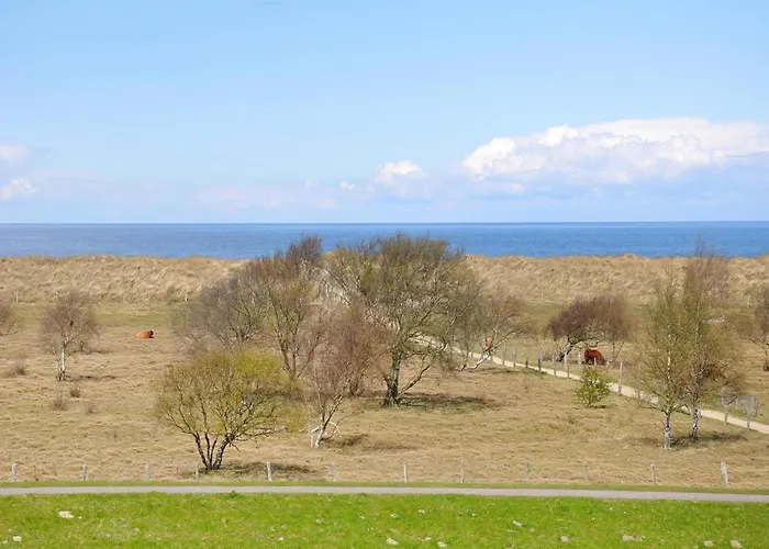 Im Freizeitpark Weissenhaeuser Weissenhäuser Strand